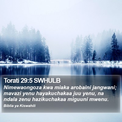 Torati 29:5 SWHULB Bible Verse Image
