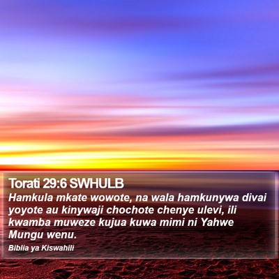 Torati 29:6 SWHULB Bible Verse Image