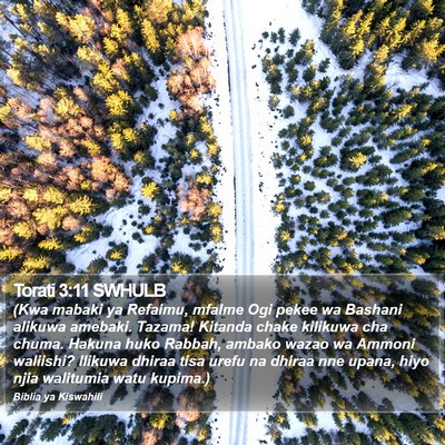 Torati 3:11 SWHULB Bible Verse Image