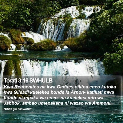 Torati 3:16 SWHULB Bible Verse Image