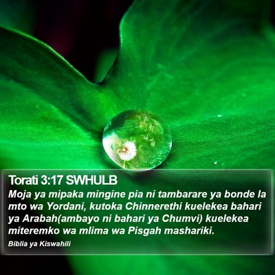 Torati 3:17 SWHULB Bible Verse Image