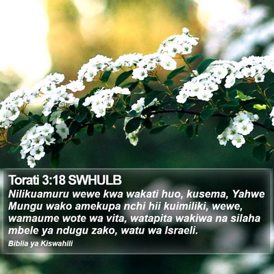 Torati 3:18 SWHULB Bible Verse Image