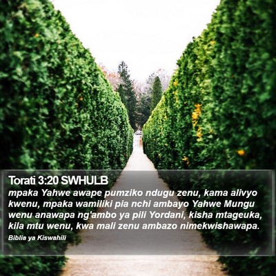 Torati 3:20 SWHULB Bible Verse Image