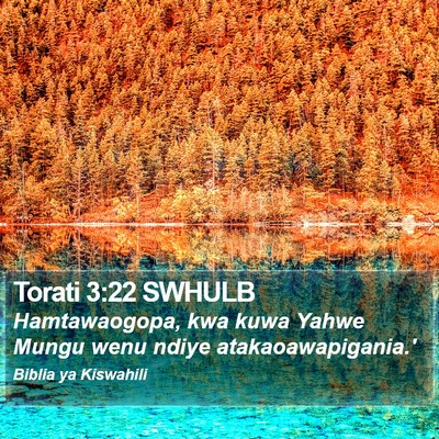 Torati 3:22 SWHULB Bible Verse Image