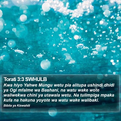 Torati 3:3 SWHULB Bible Verse Image