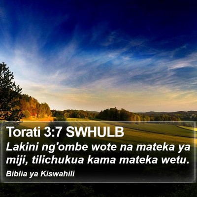 Torati 3:7 SWHULB Bible Verse Image