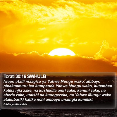 Torati 30:16 SWHULB Bible Verse Image