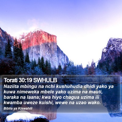 Torati 30:19 SWHULB Bible Verse Image
