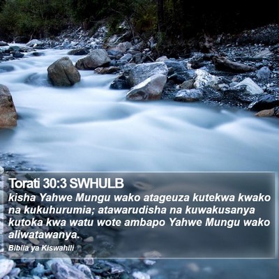 Torati 30:3 SWHULB Bible Verse Image