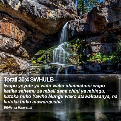 Torati 30:4 SWHULB Bible Verse Image