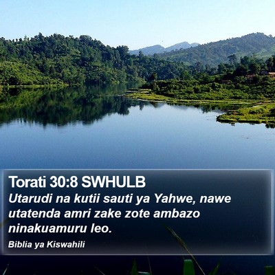 Torati 30:8 SWHULB Bible Verse Image