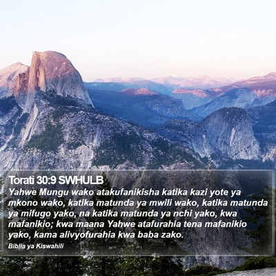 Torati 30:9 SWHULB Bible Verse Image