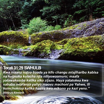 Torati 31:29 SWHULB Bible Verse Image