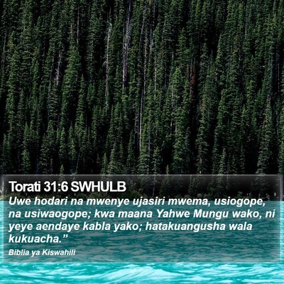 Torati 31:6 SWHULB Bible Verse Image
