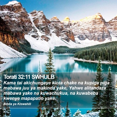 Torati 32:11 SWHULB Bible Verse Image