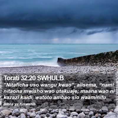 Torati 32:20 SWHULB Bible Verse Image