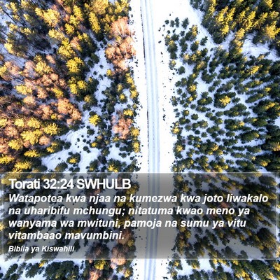 Torati 32:24 SWHULB Bible Verse Image
