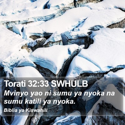 Torati 32:33 SWHULB Bible Verse Image