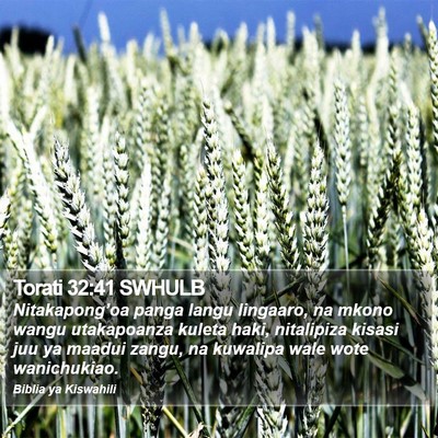 Torati 32:41 SWHULB Bible Verse Image