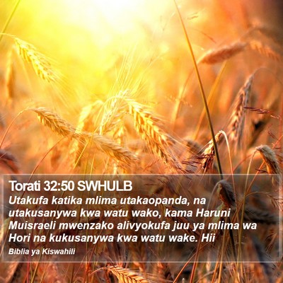 Torati 32:50 SWHULB Bible Verse Image