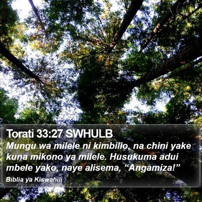 Torati 33:27 SWHULB Bible Verse Image