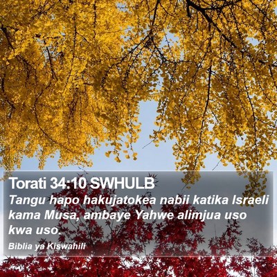 Torati 34:10 SWHULB Bible Verse Image