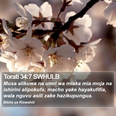Torati 34:7 SWHULB Bible Verse Image