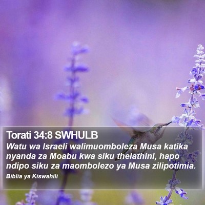 Torati 34:8 SWHULB Bible Verse Image