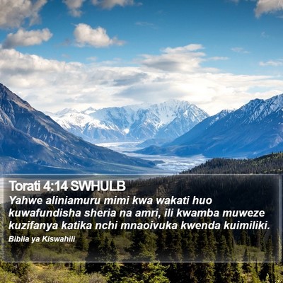 Torati 4:14 SWHULB Bible Verse Image