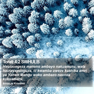 Torati 4:2 SWHULB Bible Verse Image