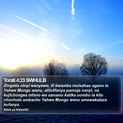 Torati 4:23 SWHULB Bible Verse Image