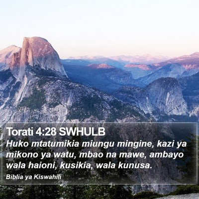 Torati 4:28 SWHULB Bible Verse Image