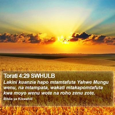 Torati 4:29 SWHULB Bible Verse Image