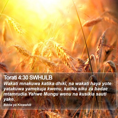 Torati 4:30 SWHULB Bible Verse Image