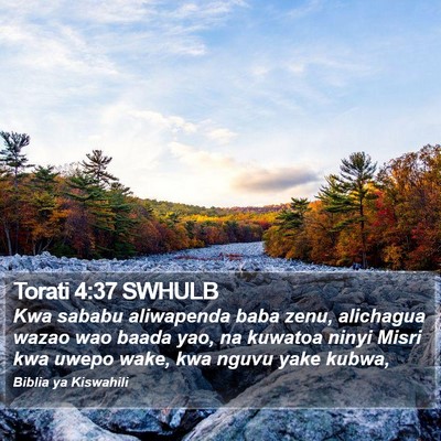Torati 4:37 SWHULB Bible Verse Image