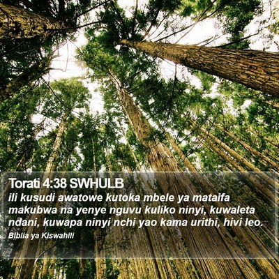Torati 4:38 SWHULB Bible Verse Image