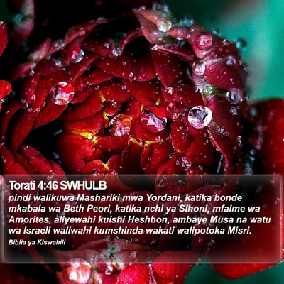 Torati 4:46 SWHULB Bible Verse Image