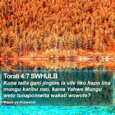 Torati 4:7 SWHULB Bible Verse Image