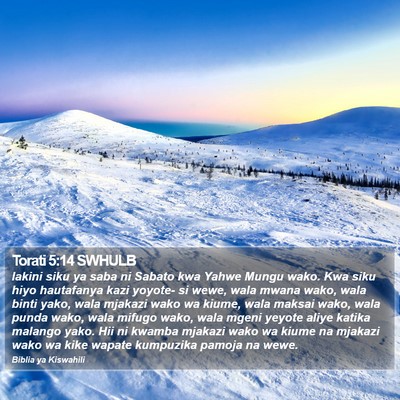 Torati 5:14 SWHULB Bible Verse Image