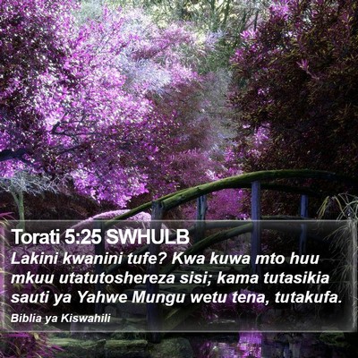 Torati 5:25 SWHULB Bible Verse Image