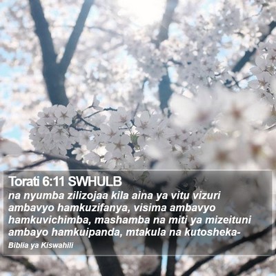 Torati 6:11 SWHULB Bible Verse Image
