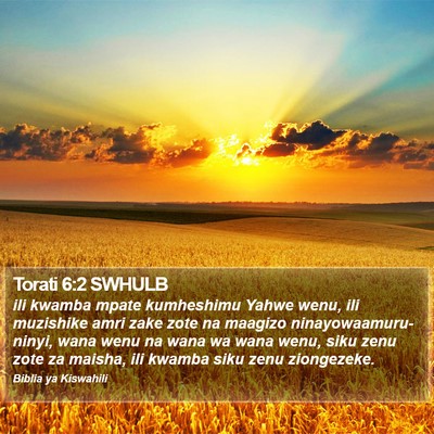 Torati 6:2 SWHULB Bible Verse Image