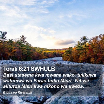 Torati 6:21 SWHULB Bible Verse Image