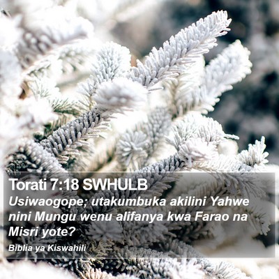 Torati 7:18 SWHULB Bible Verse Image
