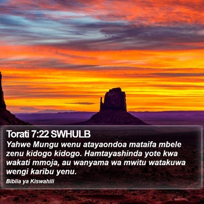 Torati 7:22 SWHULB Bible Verse Image