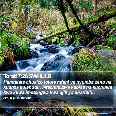 Torati 7:26 SWHULB Bible Verse Image