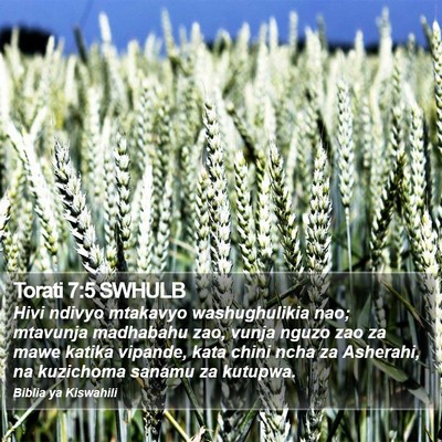 Torati 7:5 SWHULB Bible Verse Image