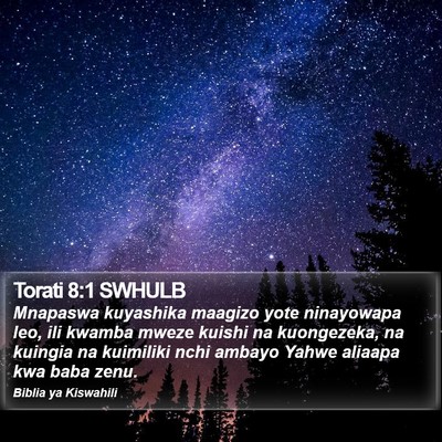 Torati 8:1 SWHULB Bible Verse Image