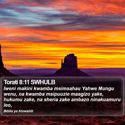 Torati 8:11 SWHULB Bible Verse Image