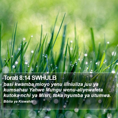 Torati 8:14 SWHULB Bible Verse Image